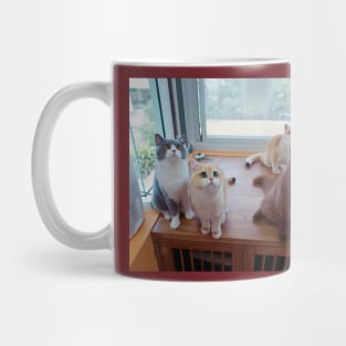 the cute cats team Mug